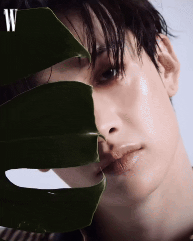 fengfengtang giphyupload GIF