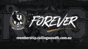 community afl GIF by CollingwoodFC
