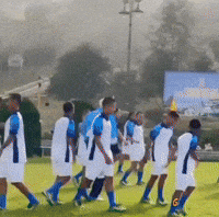 Goal Tmc GIF