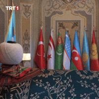 History Cyprus GIF by TRT