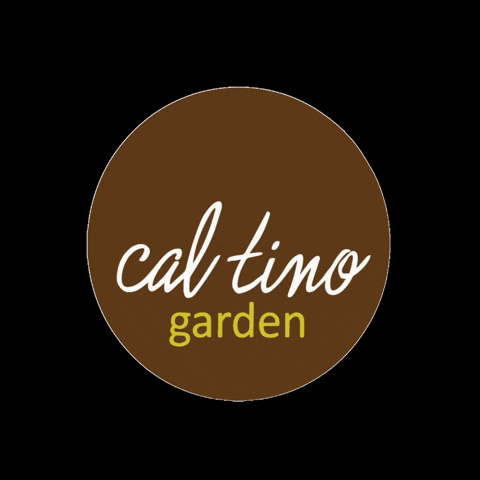 Cal Tino GIF by Cal Tino Garden