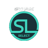 Select Sticker by Digimax Brasil