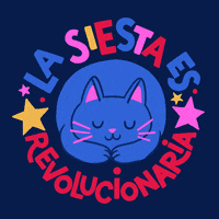 Sleepy Cat GIF by Addy