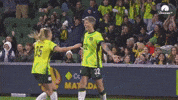 Michelle Heyman Celebration GIF by Football Australia