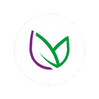 Seed Sticker by legutko