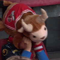 Goat Cologne GIF by 1. FC Köln