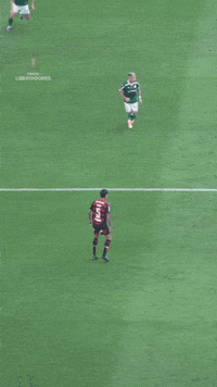 Pedrinfla777 GIF
