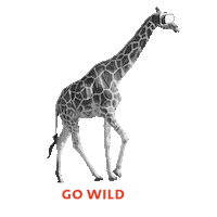 Go Wild Ai Sticker by The EPO