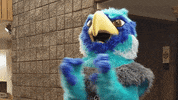 Emoji Emotion GIF by Anne Arundel Community College