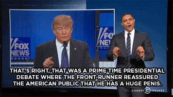 the daily show trump GIF by The Daily Show with Trevor Noah