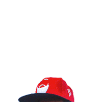 fernandohaddad feliz sp pt saopaulo Sticker