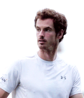 ok no but it does andy murray GIF