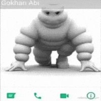 Gökhan Abi GIF