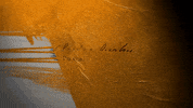 Country Music Love GIF by Kylie Morgan