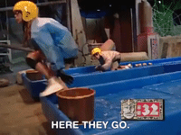 legends of the hidden temple nicksplat GIF