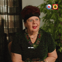 Brabant Good Job GIF by Omrop Fryslân