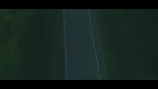 nebraska GIF
