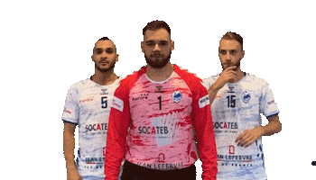 Celebrating Ile De France Sticker by HBC Livry Gargan