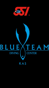 Blueteamdiving blueteamdivingcenter blueteamdiving GIF