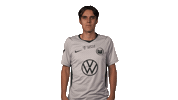 Vfl Wolfsburg Yes Sticker by Bundesliga