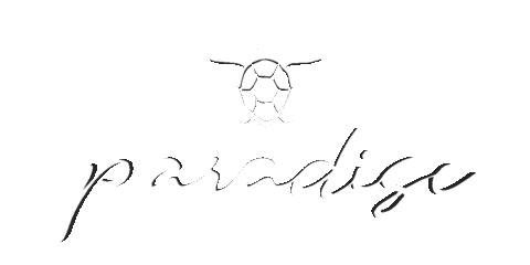Paradise Beach Club Sticker by discotecheinversilia