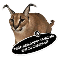 Новый Год Sticker by Webium