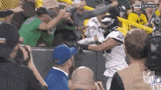 Philadelphia Eagles Football GIF by NFL