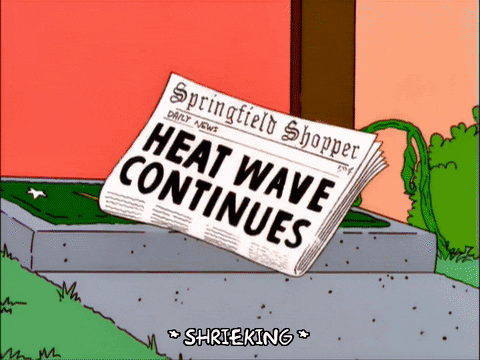 The Simpsons gif. A Springfield newspaper with the headline, "Heat Wave Continues," melting off the front page. A butterfly flies past the screen and spontaneously bursts into flames.
