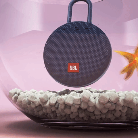 fish speaker GIF