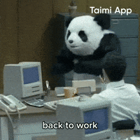 Panda Back To Work GIF by Taimi