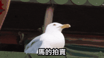 wl02263337 giphyupload GIF