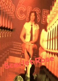 Sexy School Girl GIF