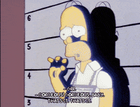 homer simpson mugshot GIF