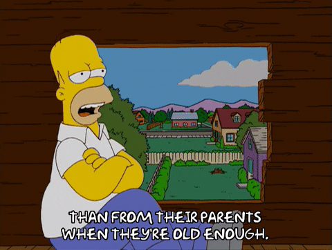 homer simpson GIF
