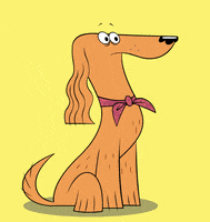 Happy Dog GIF by ZIP ZIP