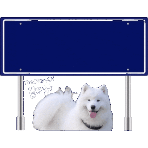 Benji Brabant Sticker