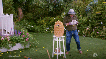Amy Poehler Fall GIF by NBC