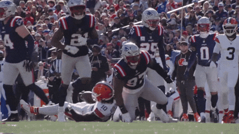 Football Celebrate GIF by New England Patriots