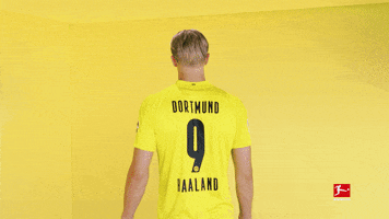 Happy Borussia Dortmund GIF by Bundesliga