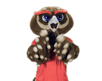 Boca Raton Sticker by Florida Atlantic University