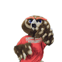 Cheering Celebrate Sticker by Florida Atlantic University