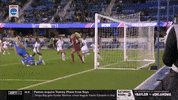 gostanford  GIF