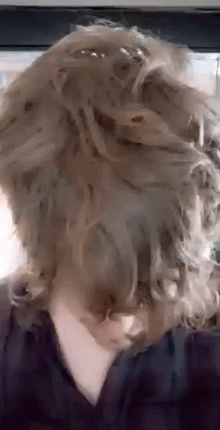 dummy-pants giphyupload GIF