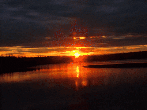 RastaSack giphyupload GIF