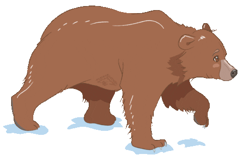 Grizzly Bear Sticker by Alaska Seafood