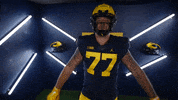 Go Blue College Football GIF by Michigan Athletics