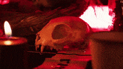 Magic Ghost GIF by Century Media Records