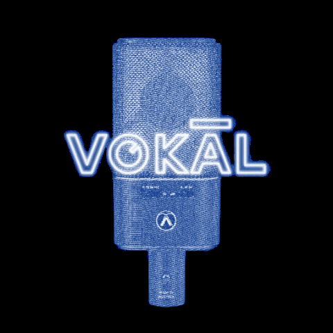 StudioVokal podcast voice Brno podcasters GIF