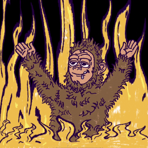Loop Burn GIF by Shredding Sassy