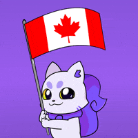 Canadian Hockey GIF by Lucky Kat Studios
